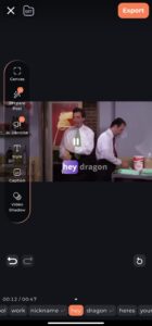 Review and Edit subtitle captiono